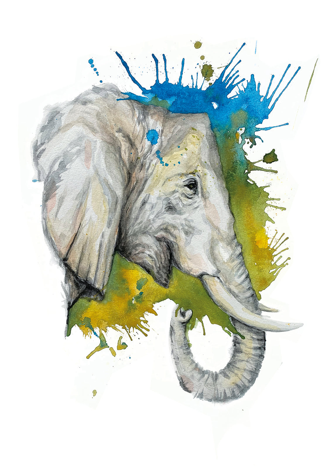 Elefant, Indien